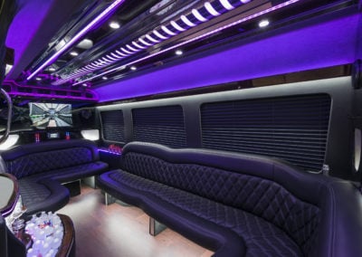 Leather seating party bus