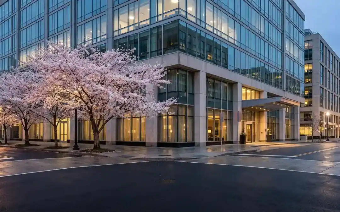 Cherry Blossom Season in DC: Skip the Parking Nightmare with a Sprinter Limo