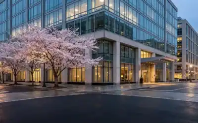 Cherry Blossom Season in DC: Skip the Parking Nightmare with a Sprinter Limo